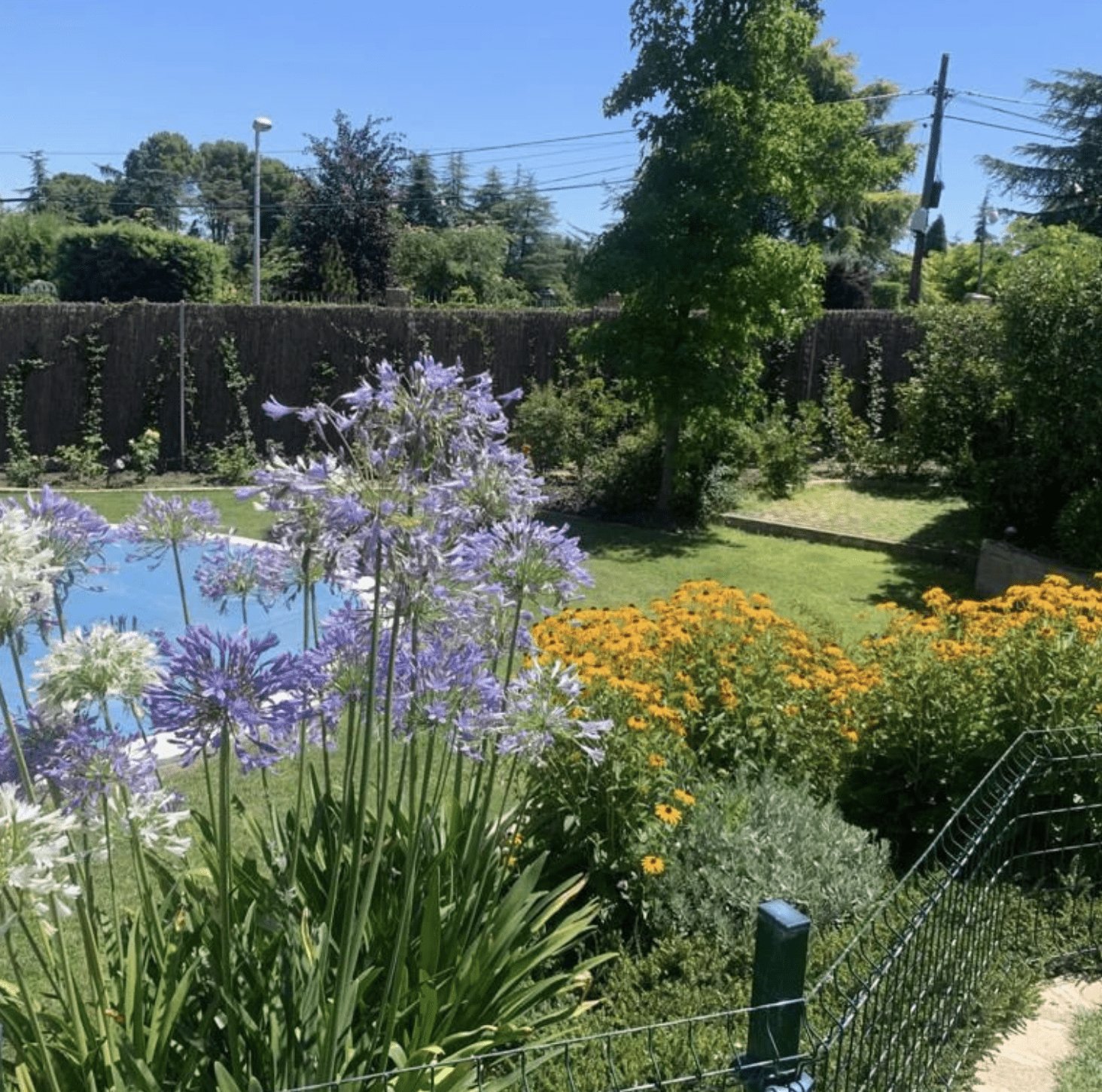 Diseño y construcción de jardines en Las Rozas